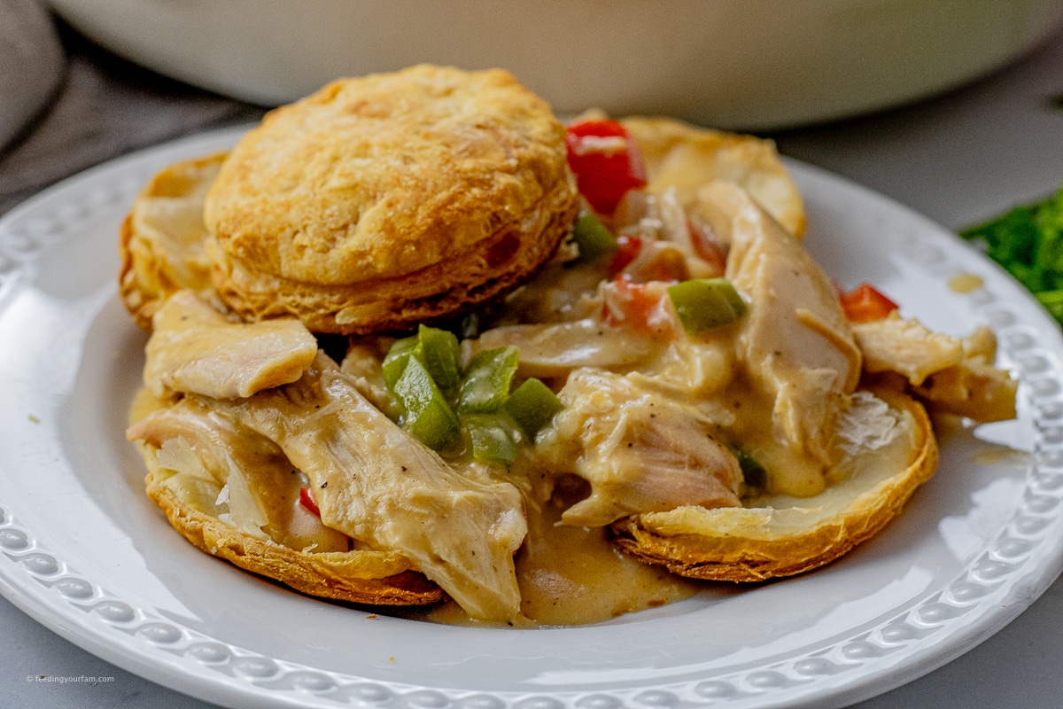 creamy sauce with chicken, red,green peppers with puff pastry circles