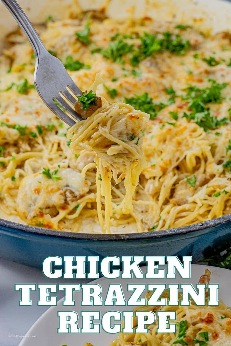 Chicken Tetrazzini is a one pot meal that the whole fam will absolutely love. Full of chicken, pasta and a creamy sauce, this dinner recipe is sure to become a go-to on your weekly menu.