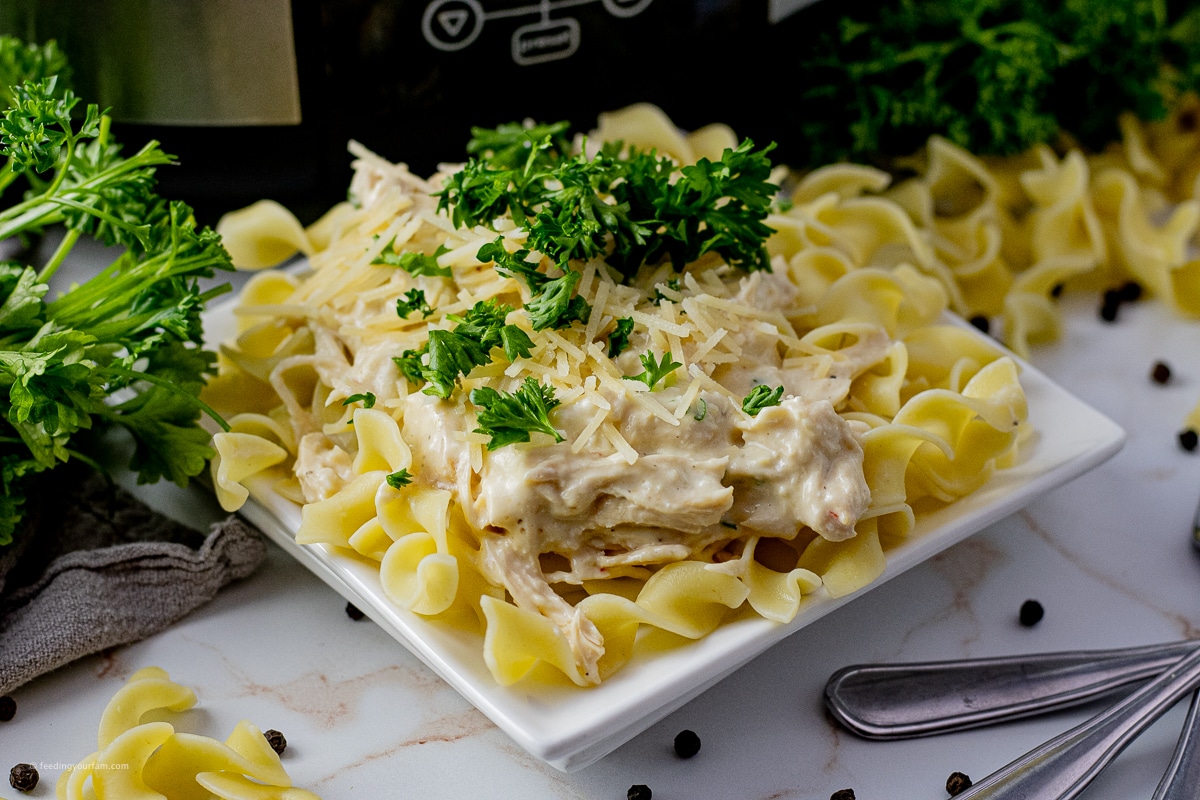 creamy, shredded chicken over egg noodles on a white plate