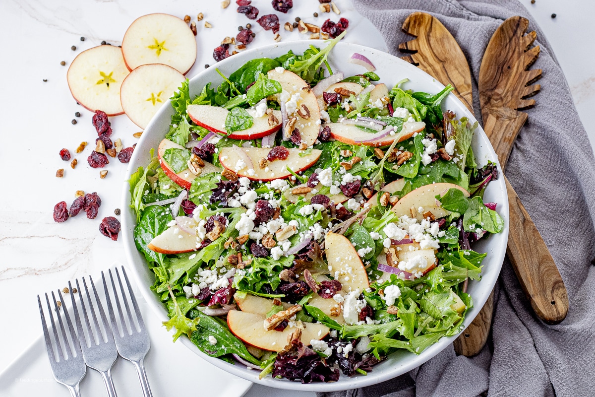 big white bowl filled with spinach salad with sliced apples, dried cranberries, pecans and feta crumbles