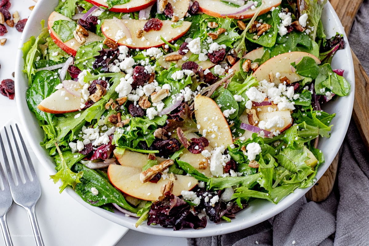 spinach salad with sliced apples, pecans, dried cranberries in a white bowl