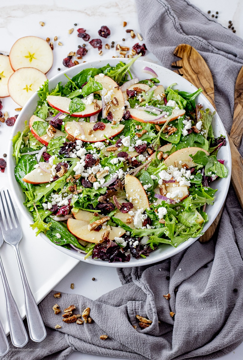 big white bowl filled with a salad with sliced apples, spinach, dried cranberries, pecans and feta cheese crumbles