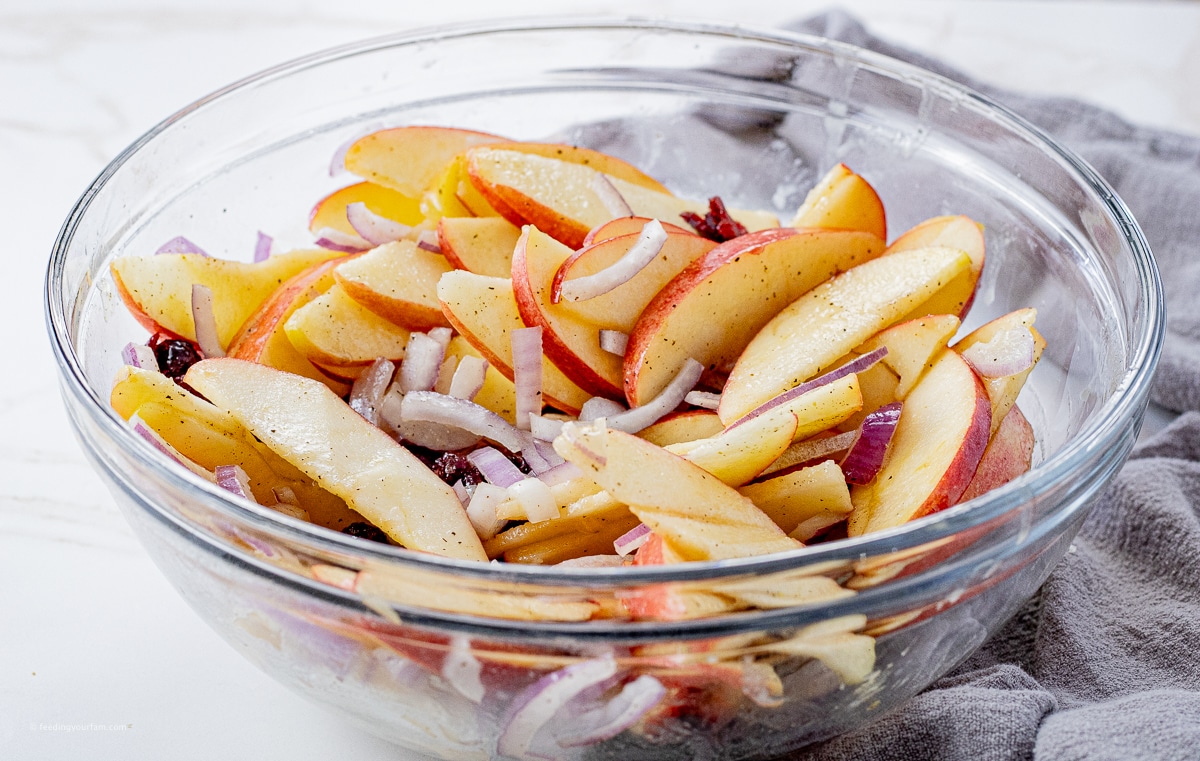 sliced apples, red onion slices and dried cranberries in a apple cider dressing