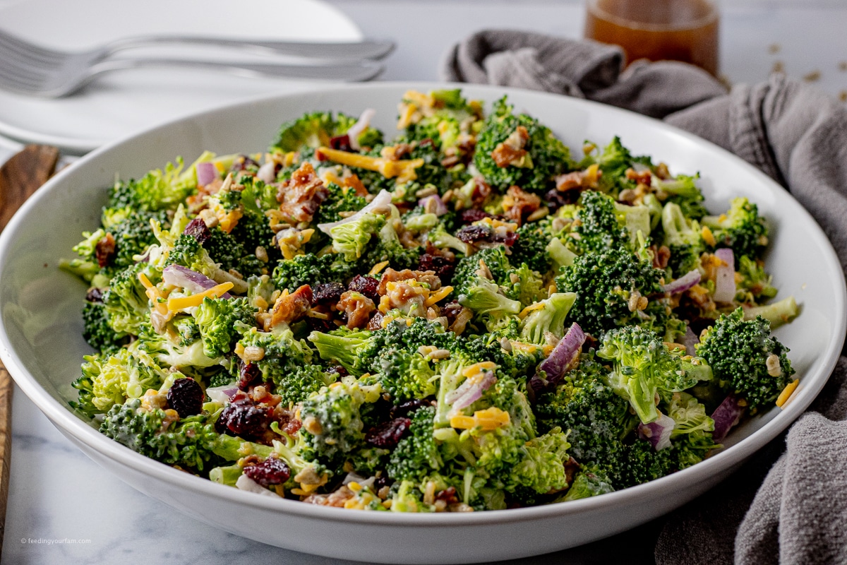 Easy Loaded Broccoli Salad - Feeding Your Fam