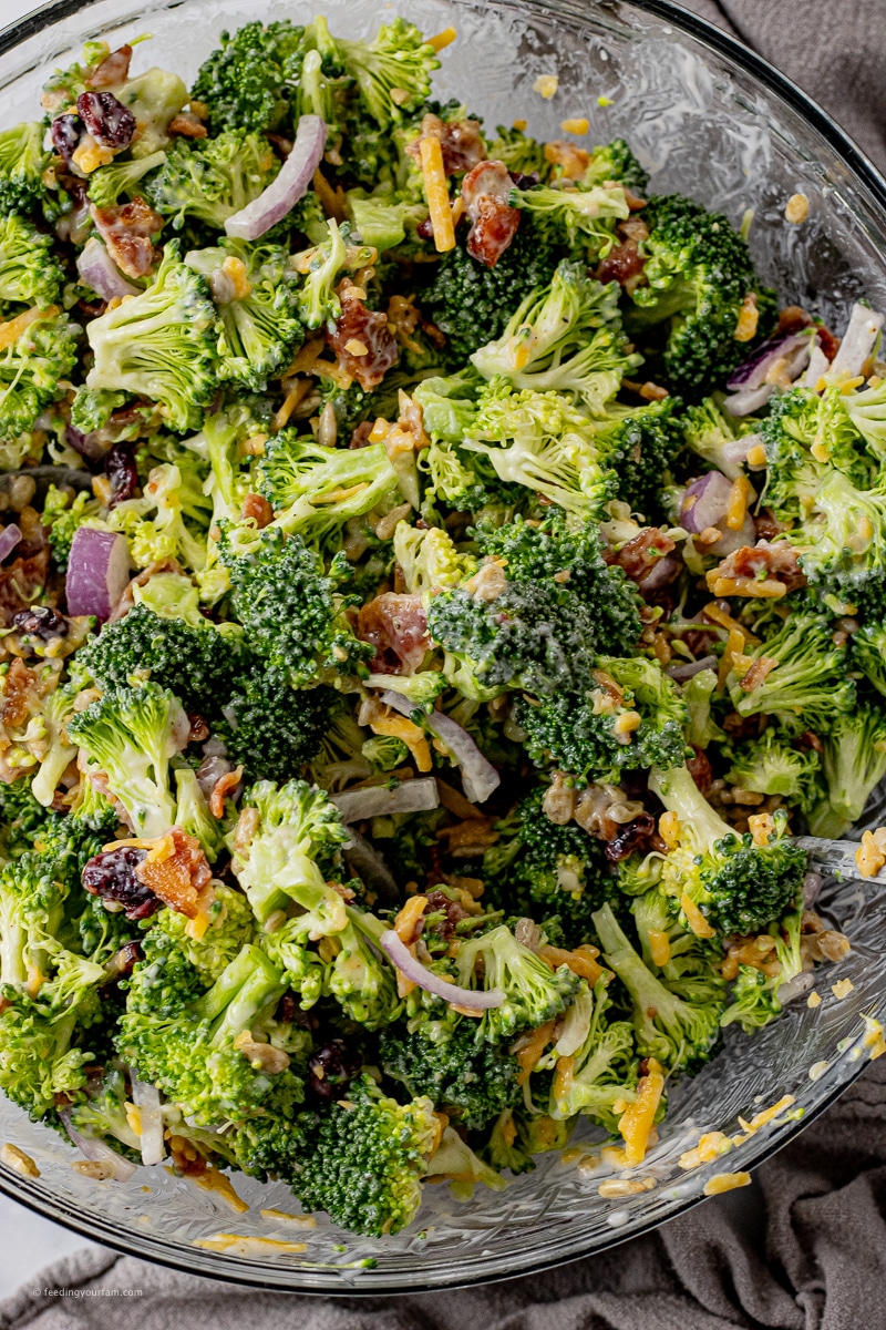 small pieces of broccoli, with red onions, shredded cheese, sunflower seeds and dried cranberries