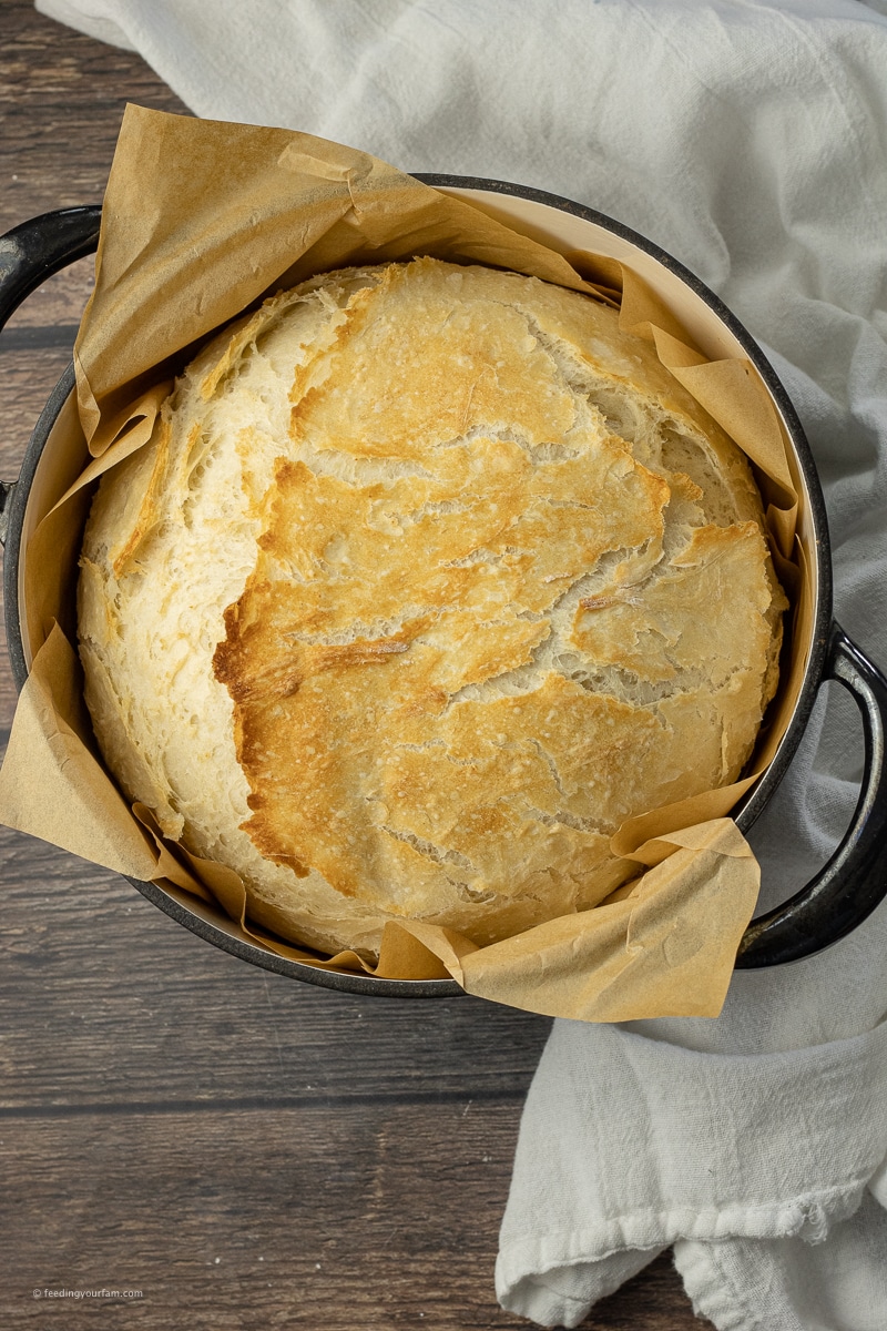 round loaf of bread in a dutch oven pot with parchment paper