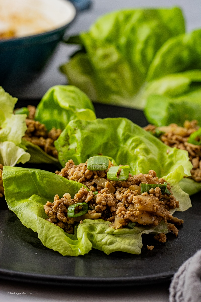 These ground chicken lettuce wraps are one of our go-to chicken dinners. The ground chicken is flavored just right and everyone loves the fresh crunch of the lettuce leaves.