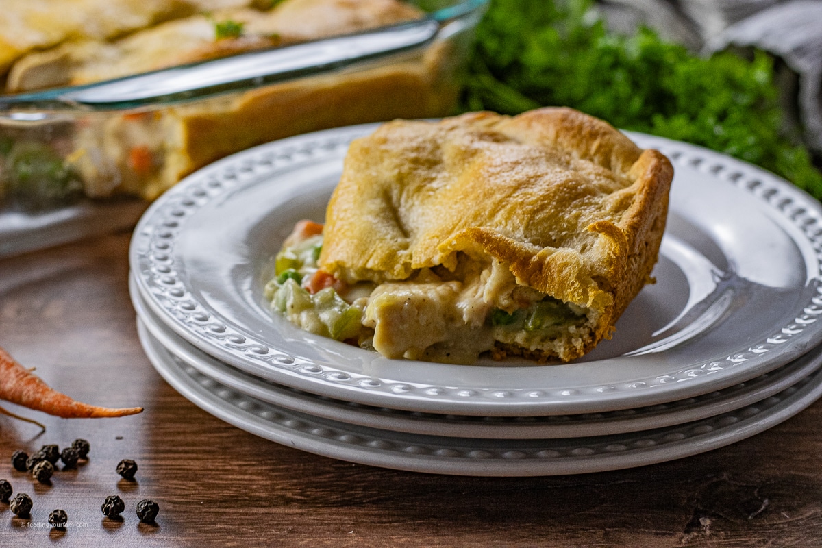 Easy Chicken Pot Pie with Crescent Rolls - Feeding Your Fam