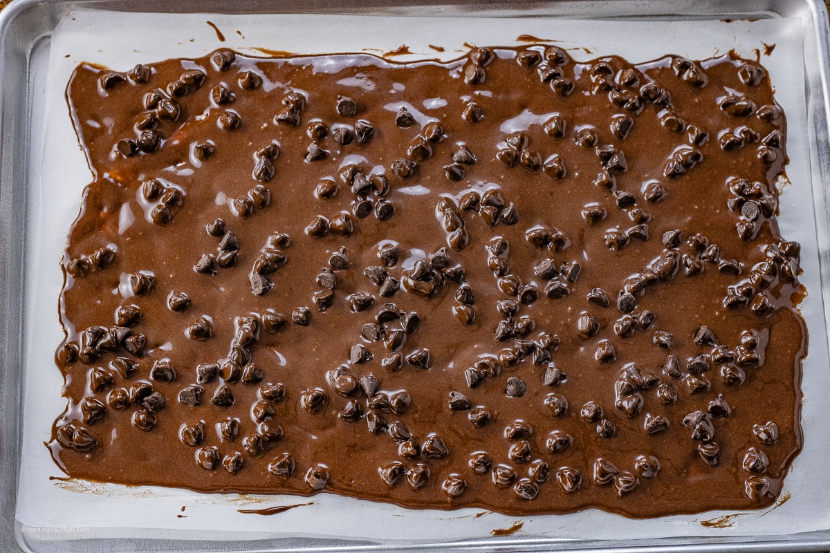 thin brownie butter with chocolate chips in it spread out on parchment paper in a baking sheet