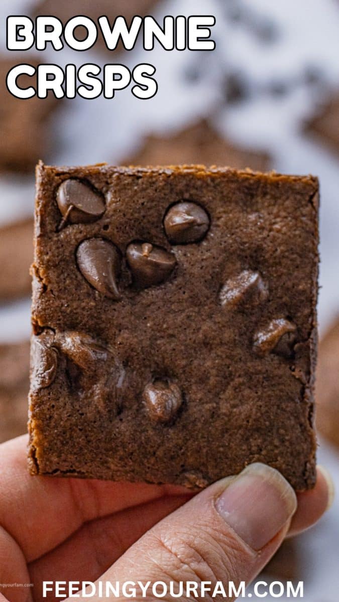 hand holding up a square pieces of brownie thin