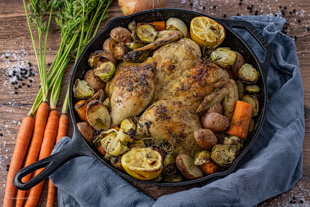 chicken roasted in a cast iron skillet with carrots, onions, potatoes and brussels sprouts