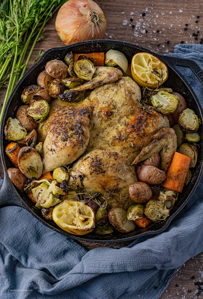 Perfectly roast chicken in a cast iron pan is the dinner you didn't know you needed. So easy to make for a quick weeknight dinner the whole family will love. chicken dinner| easy recipe| cast iron cooking| cast iron skillet