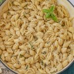 shell pasta in a creamy parmesan sauce with basil