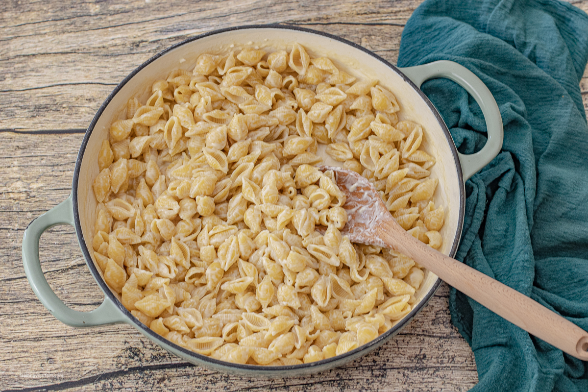 cooking shell pasta in a creamy garlic parmesan sauce