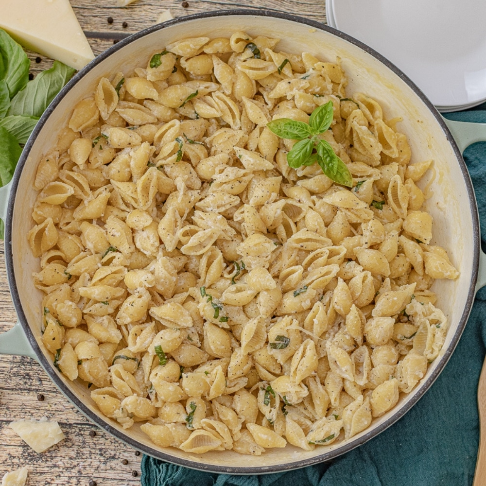 big round skillet filled with cooked shell shaped pasta in a garlic parmesan sauce