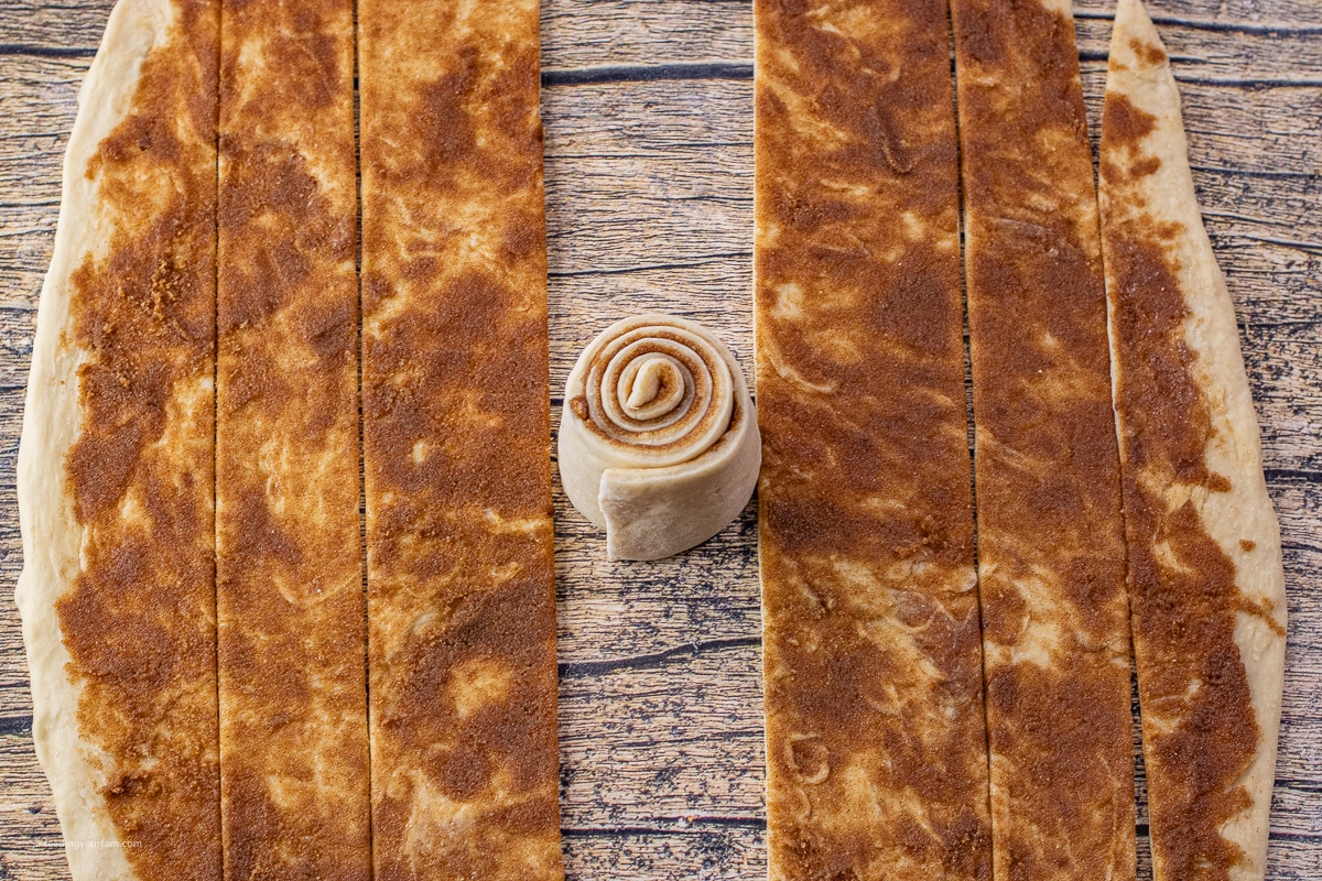 cinnamon roll dough sliced into about 2 inch pieces with one piece rolled into a cinnamon roll