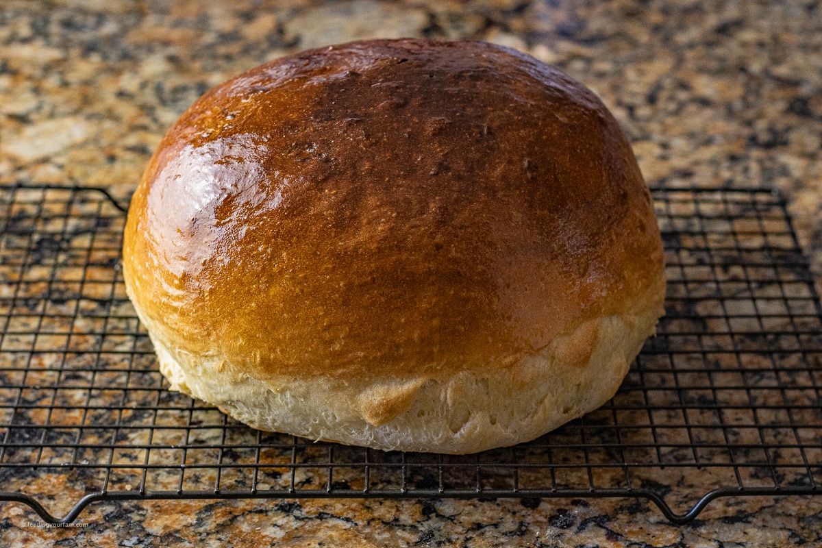 large round loaf of white bread on a black wire cooling rack