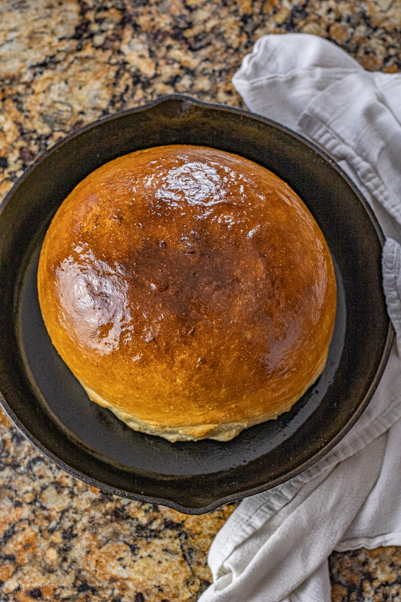 Homemade cast iron skillet bread recipe. This bread recipe only takes 6 ingredients, comes together quick, and bakes up so perfect.