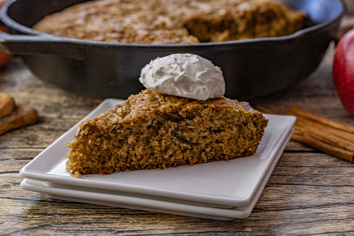 slice of apple cinnamon cake on a square plate