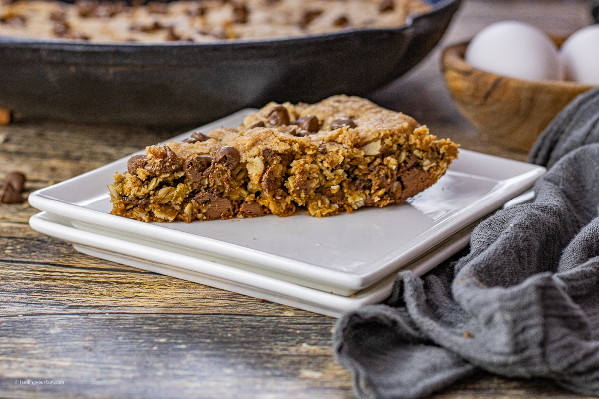 slice of oatmeal chocolate chip cookie