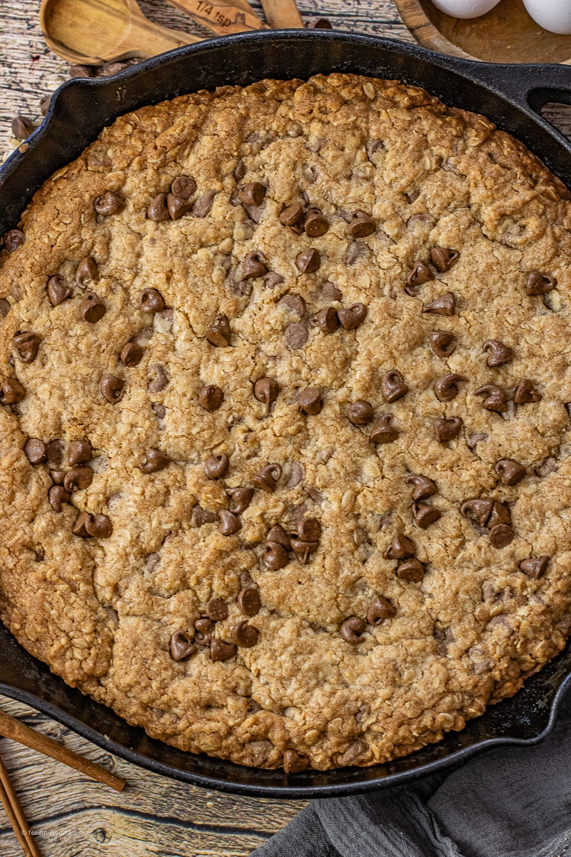 This Oatmeal Skillet Cookie with Chocolate Chips is the perfect blend of crunchy oats, warm cinnamon spice and buttery chocolate chip cookie all baked into one cast iron skillet cookie. With a hot cookie center and crisp outer crust this is the perfect skillet dessert for when you are craving a sweet treat or need something to share with friends.