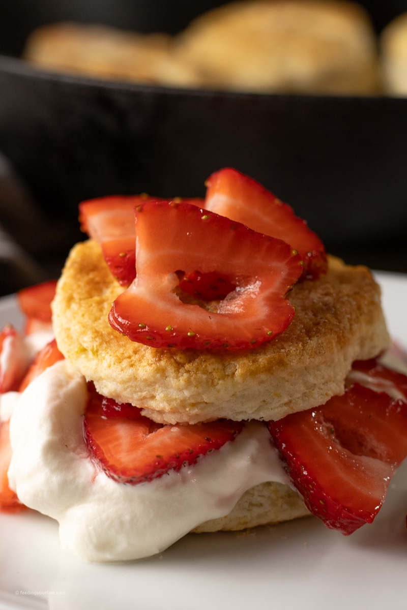 strawberry shortcake biscuits topped with whipped cream and strawberries