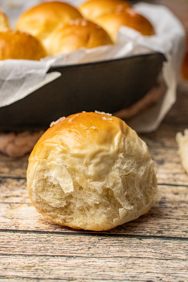 homemade dinner roll standing alone with a pan full of rolls in the background
